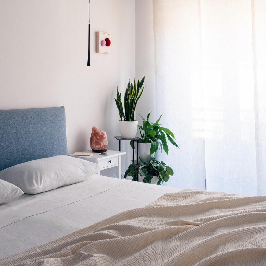 Camera da letto minimal, piante + azzurro carta da zucchero